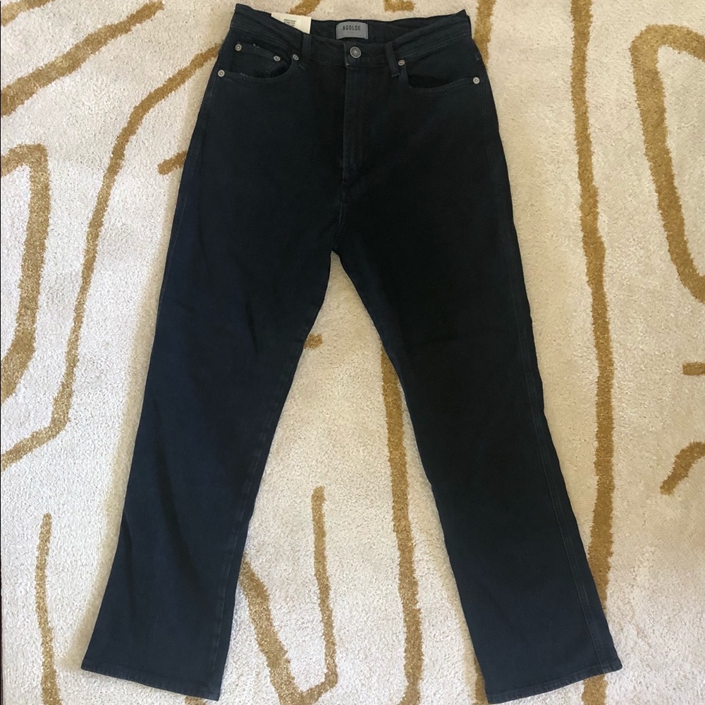 NWOT Agolde Pinch Waist Hi Rise Kick, Realm, 29